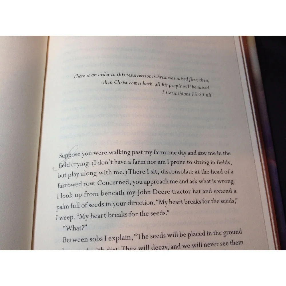 When Christ Comes -‎ The beginning of the very best by Max Lucado